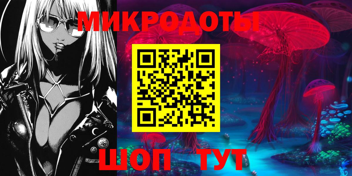 Славянск-на-Кубани  Псилоцибиновые грибы Psilocybe  Вход с VPN 