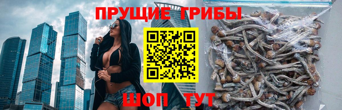 Псилоцибиновые грибы Magic Shrooms Славянск-на-Кубани